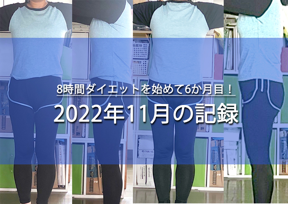 2022年11月の記録