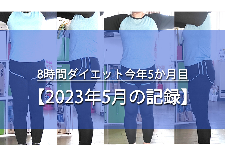 2023年5月の記録